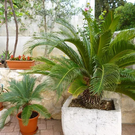 Appartement Jani Hvar Town