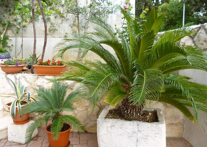 Appartement Jani Hvar Town